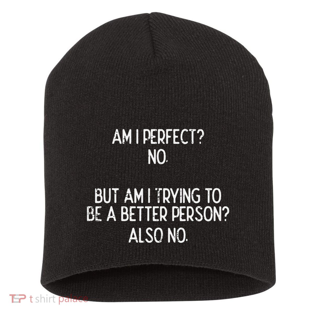 Am I Perfect No Trying Better Person Funny Sayings Short Acrylic Beanie