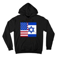 American Israeli Support Israel Hoodie