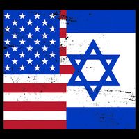 American Israeli Support Israel Women's V-Neck T-Shirt