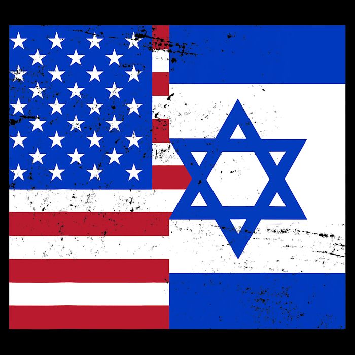 American Israeli Support Israel Women's V-Neck T-Shirt