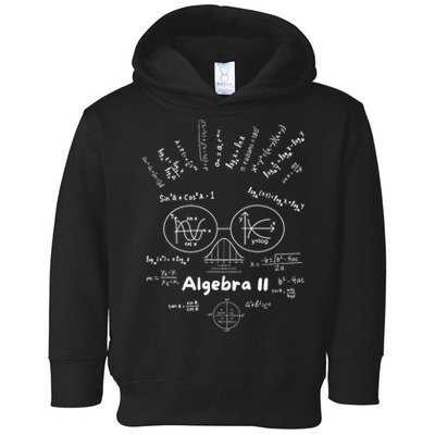 Algebra II Skull Of Equations And Formula Face Funny Nerdy Toddler Hoodie