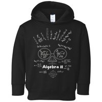 Algebra II Skull Of Equations And Formula Face Funny Nerdy Toddler Hoodie