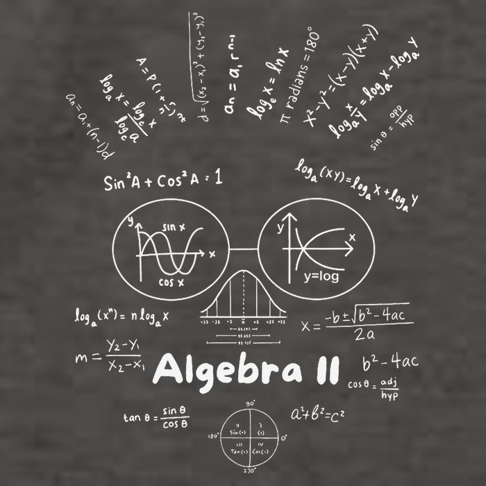Algebra II Skull Of Equations And Formula Face Funny Nerdy Vector Backpack