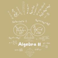 Algebra II Skull Of Equations And Formula Face Funny Nerdy Button