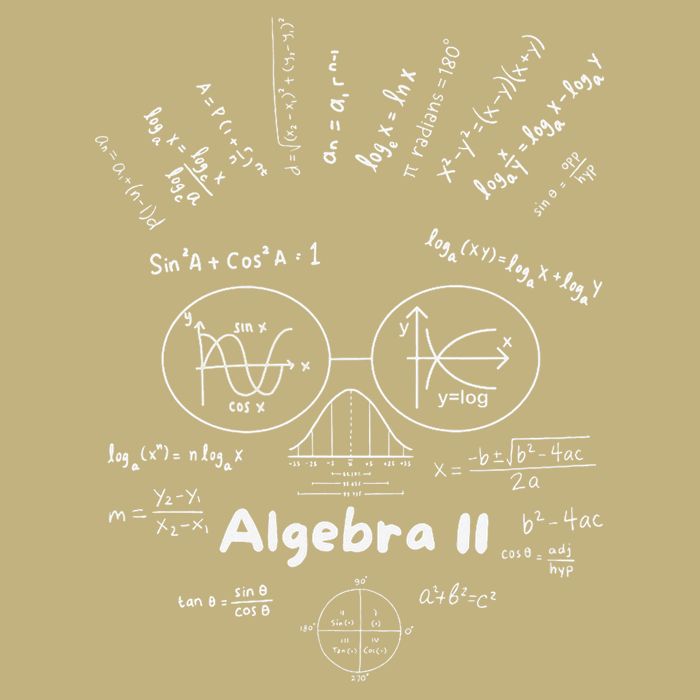 Algebra II Skull Of Equations And Formula Face Funny Nerdy Magnet