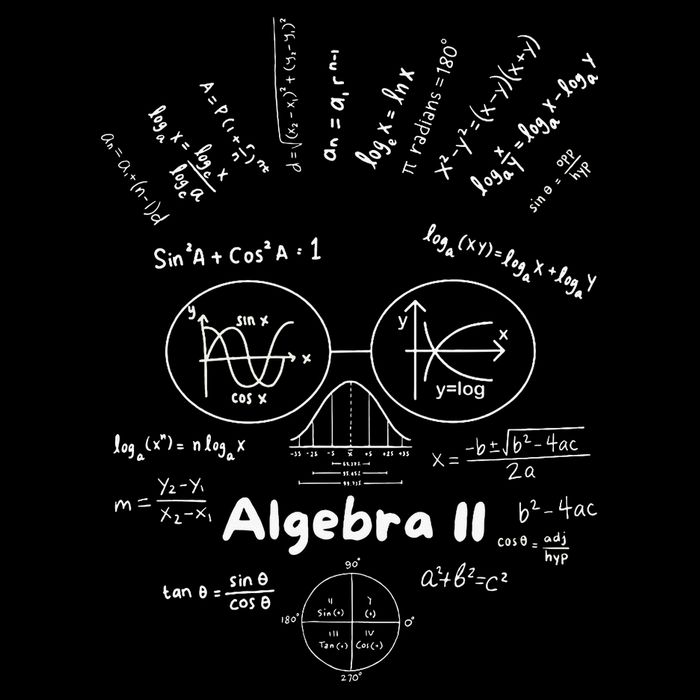Algebra Ii Skull Of Equations And Formula Face Funny Nerdy Flat Bill Trucker Hat