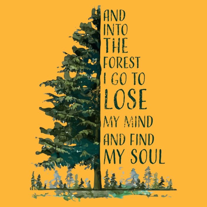 And Into The Forest I Go To Lose My Mind And Find My Soul Pom Pom 12in Knit Beanie