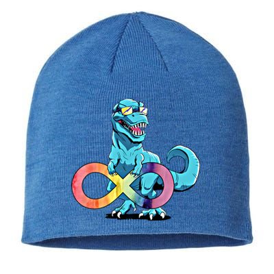 Autism Infinity Trex Dinosaur Funny Gift Sustainable Beanie