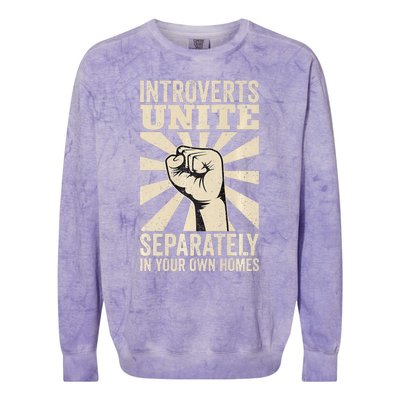 Antisocial Introverts Unite Separately In Your Own Homes Colorblast Crewneck Sweatshirt