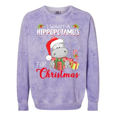 All I Want For Christmas Is Hippopotamus Cute Hippo Xmas Colorblast Crewneck Sweatshirt