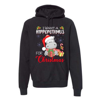 All I Want For Christmas Is Hippopotamus Cute Hippo Xmas Premium Hoodie