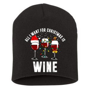 All I Want Christmas Is Wine Short Acrylic Beanie