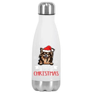 All I Want For Christmas Is A Chihuahua Santa Reindeer Great Gift Stainless Steel Insulated Water Bottle