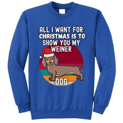 All I Want For Christmas Is Show You My Weiner Dog Dachshund Cute Gift Tall Sweatshirt