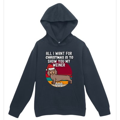 All I Want For Christmas Is Show You My Weiner Dog Dachshund Cute Gift Urban Pullover Hoodie