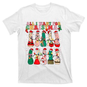 All I Want For Christmas Is D Merry Dickmas Dirty Christmas T-Shirt