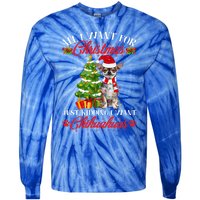 All I Want For Christmas Just Ding I Want Chihuahuas Funny Gift Tie-Dye Long Sleeve Shirt