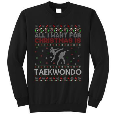 All I Want For Christmas Is Ugly Taekwondo Christmas Sweatshirt