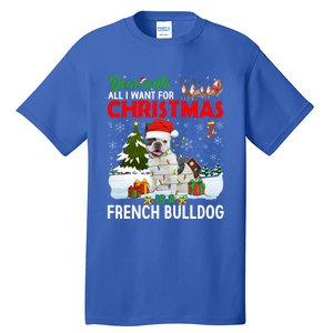 All I Want For Christmas Is A French Bulldog Family Pajamas Gift Tall T-Shirt