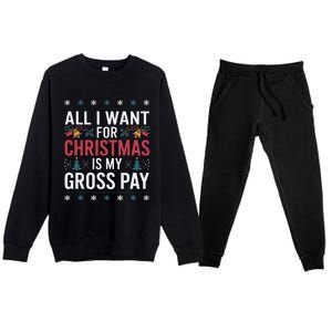 All I Want For Christmas Is My Gross Pay Funny Christmas Premium Crewneck Sweatsuit Set