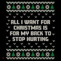 All I Want Is My Back To Stop Hurting Funny Christmas Sweatshirt Flexfit Unipanel Trucker Cap