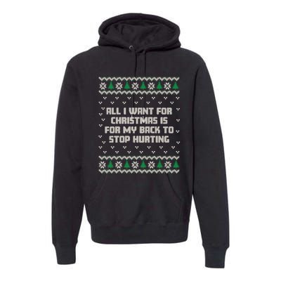 All I Want Is My Back To Stop Hurting Funny Christmas Sweatshirt Premium Hoodie