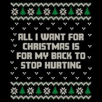 All I Want Is My Back To Stop Hurting Funny Christmas Sweatshirt 16 in Basic Backpack