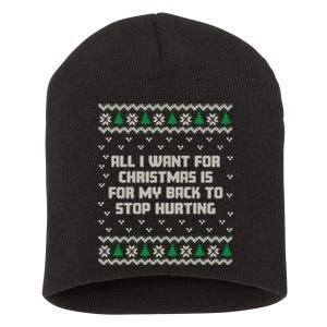 All I Want Is My Back To Stop Hurting Funny Christmas Sweatshirt Short Acrylic Beanie