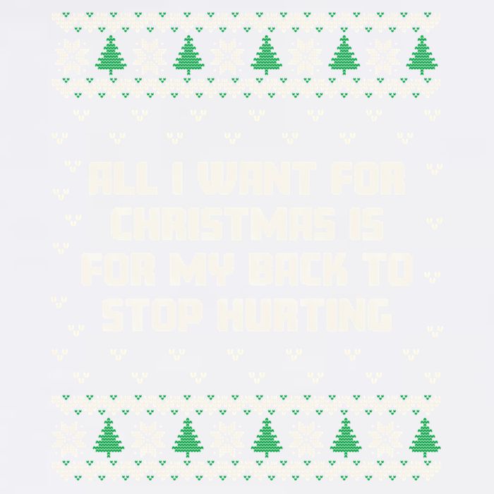 All I Want Is My Back To Stop Hurting Funny Christmas Sweatshirt Garment-Dyed Sweatshirt