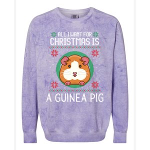 All I Want For Christmas Is A Guinea Pig Funny Xmas Sweater Gift Colorblast Crewneck Sweatshirt