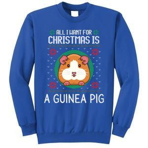 All I Want For Christmas Is A Guinea Pig Funny Xmas Sweater Gift Sweatshirt