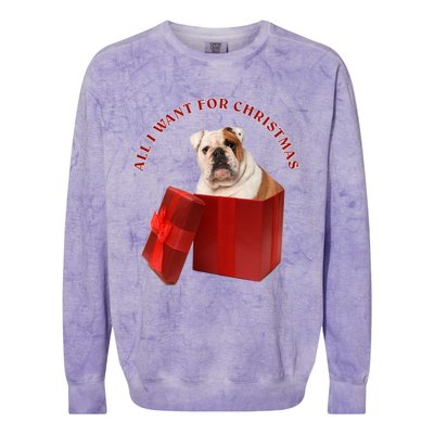 All I Want For Christmas English Bulldog Cool Gift Colorblast Crewneck Sweatshirt