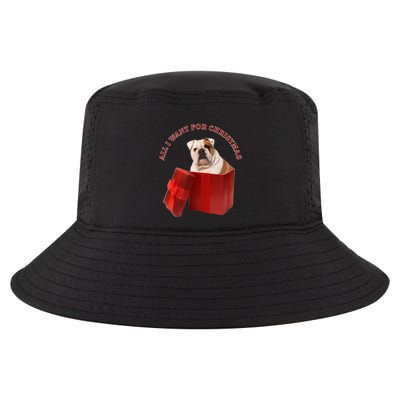 All I Want For Christmas English Bulldog Cool Gift Cool Comfort Performance Bucket Hat