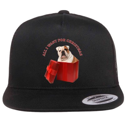 All I Want For Christmas English Bulldog Cool Gift Flatbill Hat