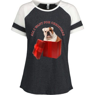 All I Want For Christmas English Bulldog Cool Gift Enza Ladies Jersey Colorblock Tee