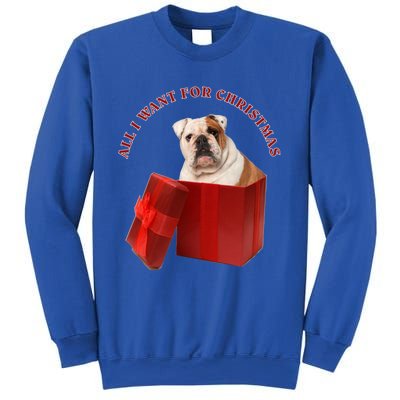 All I Want For Christmas English Bulldog Cool Gift Sweatshirt