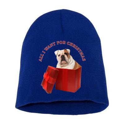 All I Want For Christmas English Bulldog Cool Gift Short Acrylic Beanie