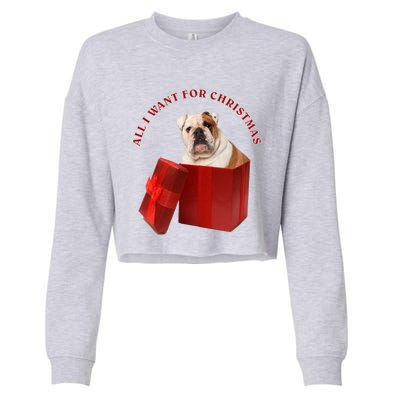 All I Want For Christmas English Bulldog Cool Gift Cropped Pullover Crew