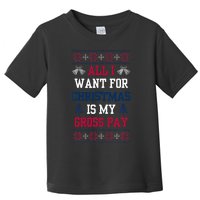 All I Want For Christmas Is My Gross Pay Joke Toddler T-Shirt