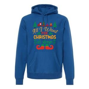 All I Want For Christmas Is Sleep Funny Christmas Funny Funny Gift Premium Hoodie