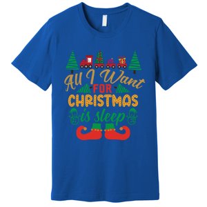 All I Want For Christmas Is Sleep Funny Christmas Funny Funny Gift Premium T-Shirt