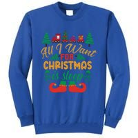 All I Want For Christmas Is Sleep Funny Christmas Funny Funny Gift Tall Sweatshirt