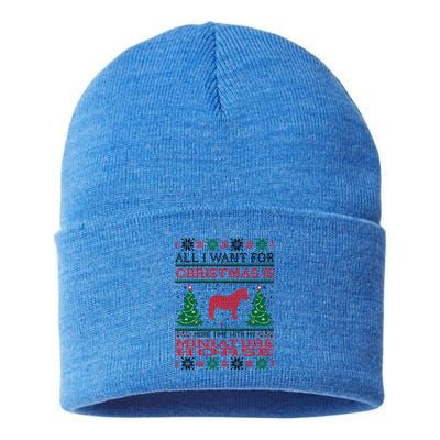 All I Want For Christmas More Time With Miniature Horse Funny Gift Sustainable Knit Beanie