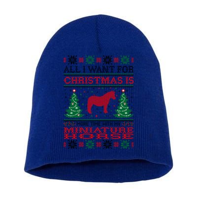 All I Want For Christmas More Time With Miniature Horse Funny Gift Short Acrylic Beanie