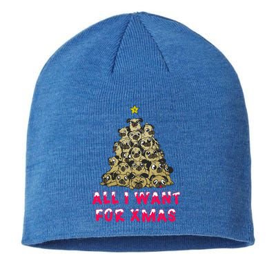 All I Want For Xmas Pugs For Christmas Pug Tree Star Gift Sustainable Beanie