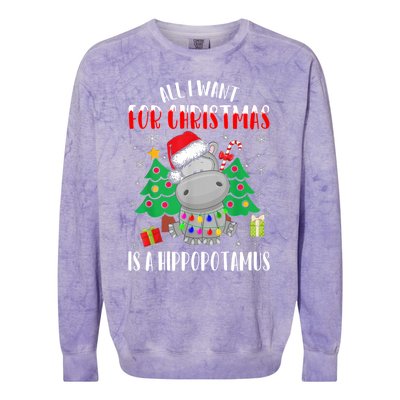 All I Want For Christmas Is A Hippopotamus Buffalo Plaid Great Gift Colorblast Crewneck Sweatshirt