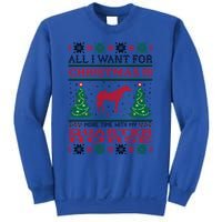 All I Want For Christmas More Time With Quarter Horse Gift Sweatshirt