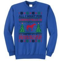 All I Want For Christmas More Time With Quarter Horse Gift Tall Sweatshirt