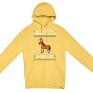 All I Want For Christmas Is A Horse Ugly Xmas Holiday Gift Premium Pullover Hoodie