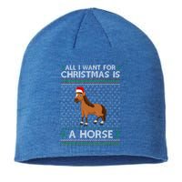 All I Want For Christmas Is A Horse Ugly Xmas Holiday Gift Sustainable Beanie